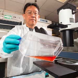 Scientist in laboratory holding container of human THP-1 cells.
