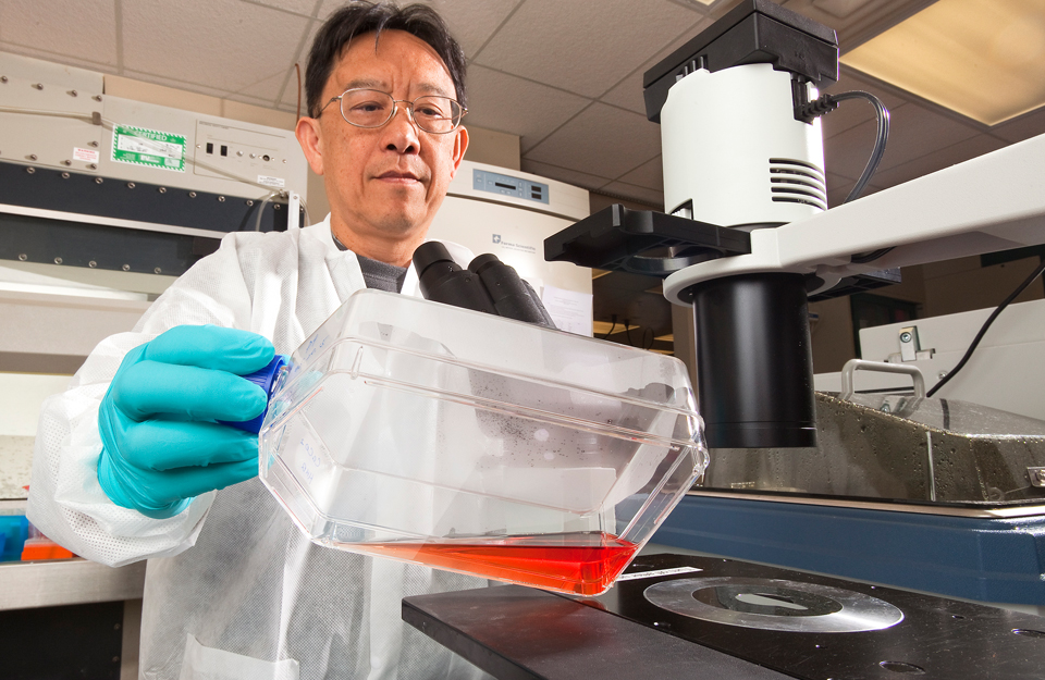 Scientist Thomas Wang in laboratory.