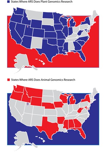 Two Maps: States Where ARS Does Plant Genomics Research and States Where ARS Does Animal Genomics Research