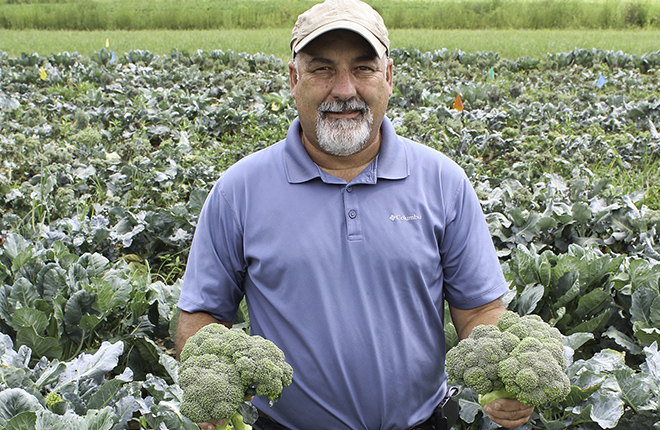 ARS scientist holding broccoli heads in a field