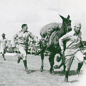 Training pack mules in 1942
