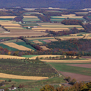 Aerial view of forest and farmland in a Pennsylvania watershed
