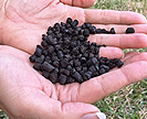 Hands holding black biochar pellets