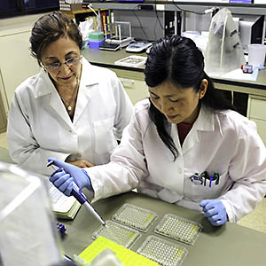 Two researchers preparing samples in the lab