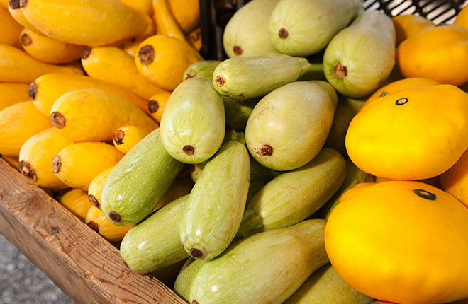 Fresh squash varieties at a farmer’s market.