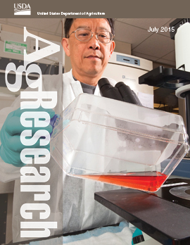 Scientist Thomas Wang in laboratory.