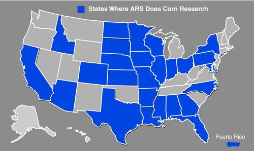 Map: States Where ARS Does Corn Research