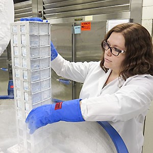 A technician takes samples from liquid-nitrogen freezer