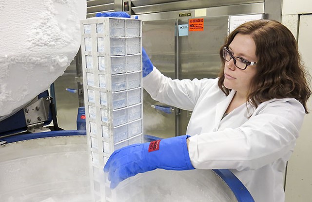 A technician takes samples from liquid-nitrogen freezer