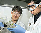 Two researchers inspect plants growing in jars