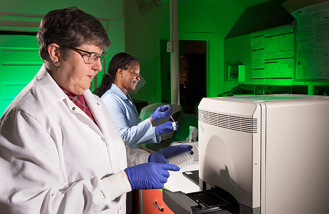 Two scientists working with lab equipment