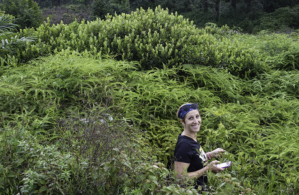 ARS scientist collecting plant samples in Hong Kong