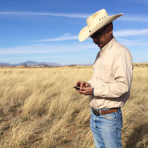 Scientist with smartphone on rangeland