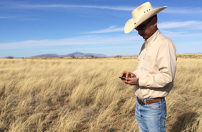 Scientist with smartphone on rangeland