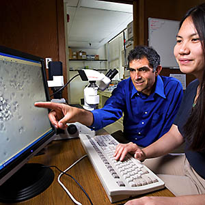 Two scientists viewing computer image of bacteria