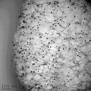 Cross-section of a cotton fiber with silver nanoparticles trapped inside it. The silver nanoparticles appear as black dots.