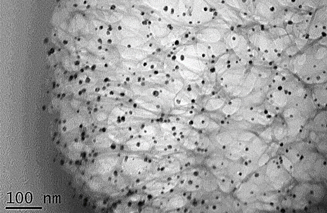 Cross-section of a cotton fiber with silver nanoparticles trapped inside it. The silver nanoparticles appear as black dots.